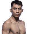 Victor Altamirano - MMA fighter